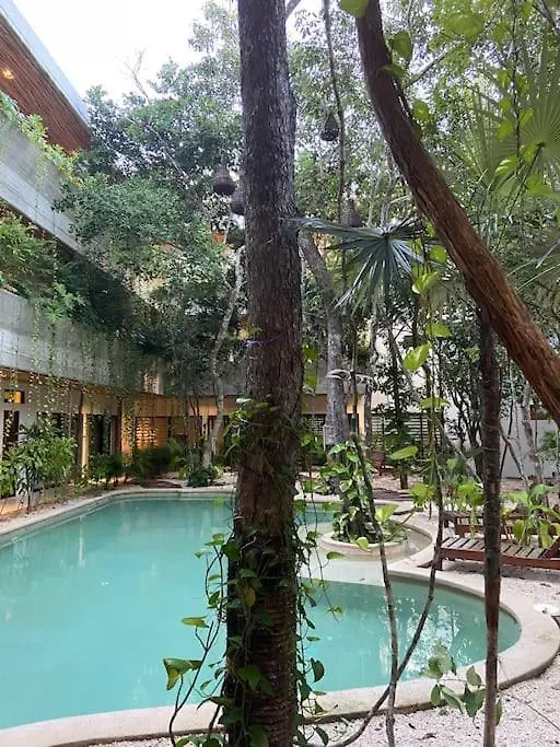 Etnica Tulum Residences - Luxury Apartments O